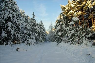 《最终幻想7：重制版》第三部或于2027年发售